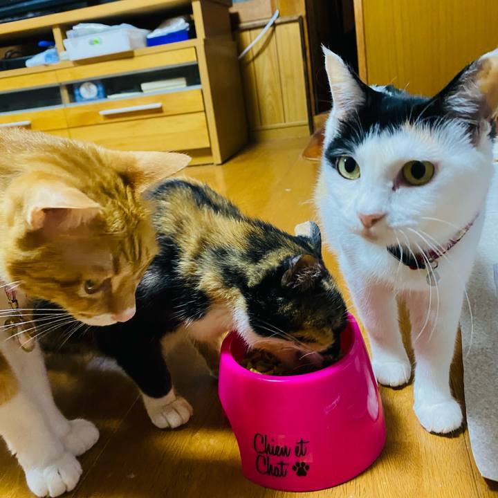 Fd545116 9e8f 4e5f 840e 6850ec34c96b 1658868118079