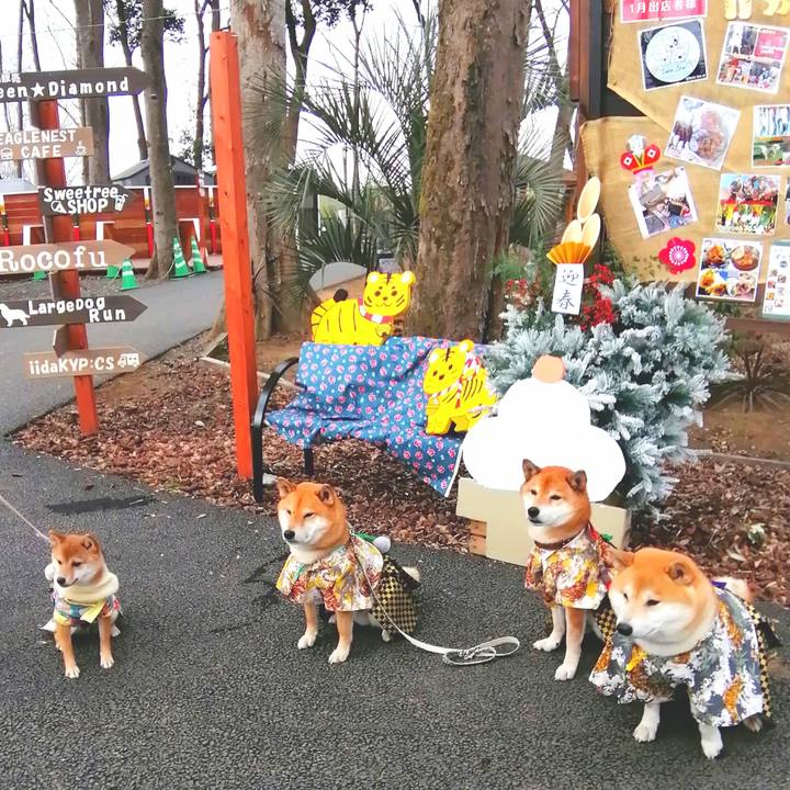 Fd54541b f808 4771 9a1b 2877131e7c8e 1641796950829