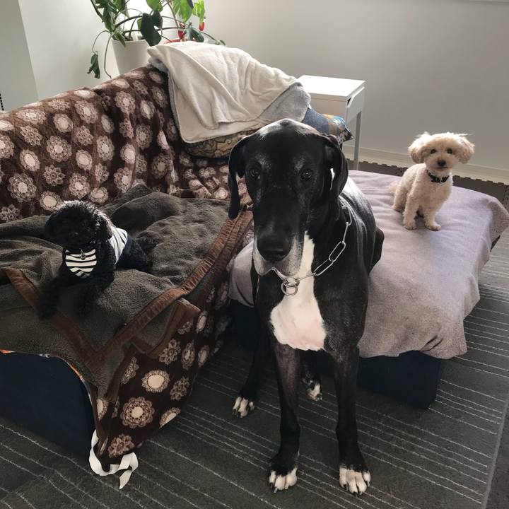 Fd545945 a403 42c6 8a8f cfb262dbcd10 1513032551529