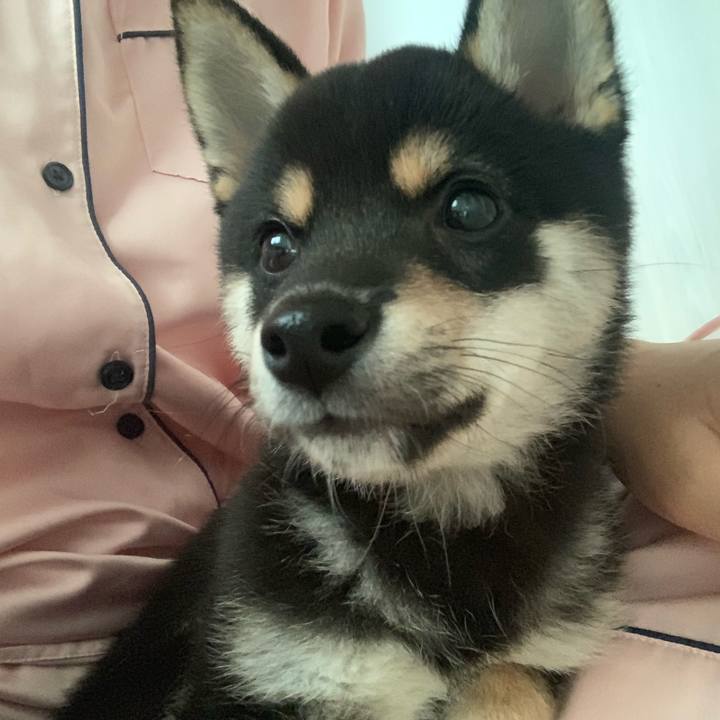 Fd546180 0204 4b40 ac89 5d569bdf8a38 1555716901908