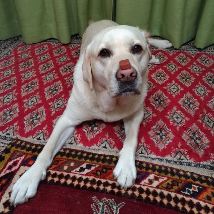 Fd548594 9dec 4fc3 b882 59e1e1b48764 1557833546893