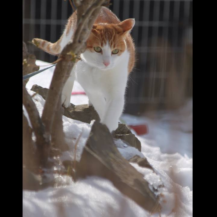 Fd54fd00 687d 4e92 818c 54570885925e 1517205030509