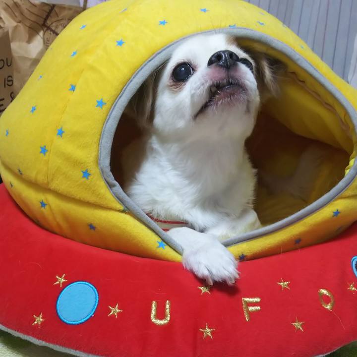 Fd550683 3321 464d 8e77 4dc8b7302d98 1570611870026