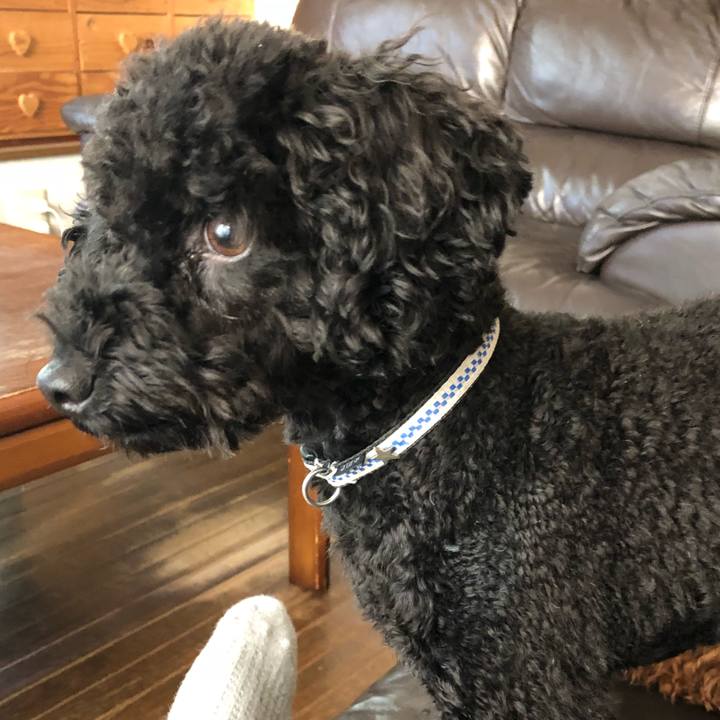 Fd55203a 371a 414d b095 dfacc1fa4e44 1540938634278