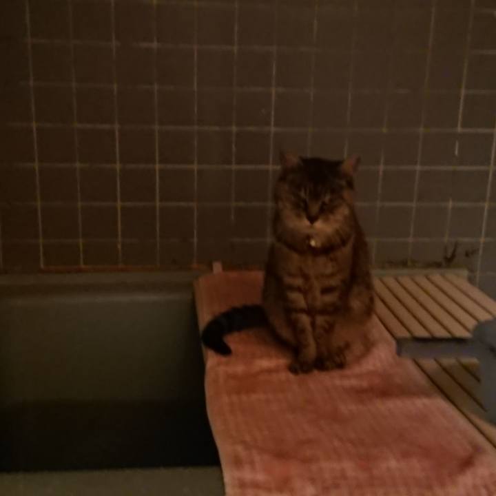 Fd552c75 f1ea 4273 9b7b 156432fa58d5 1573117947800