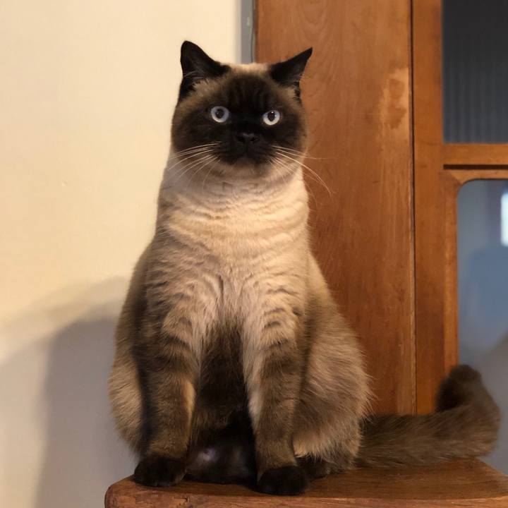 Fd554315 1e31 4855 8556 6ac4de352193 1614384203153