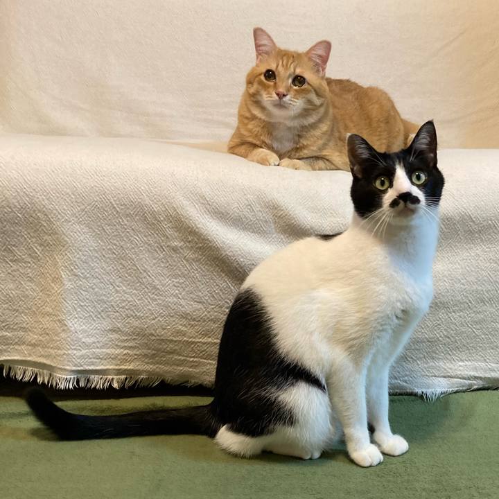 Fd5574c0 441e 4bfa aeef 0115886ee72d 1763212561319