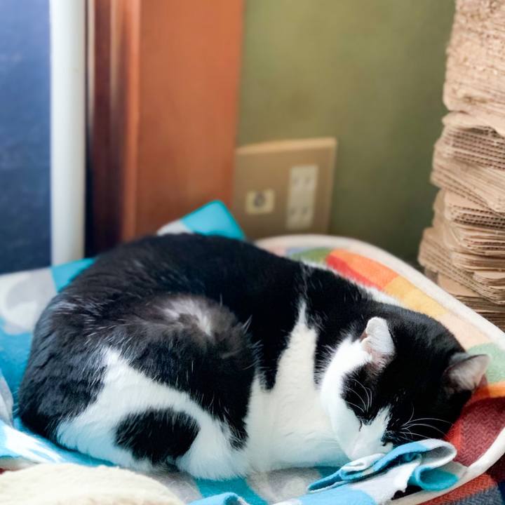 Fd55857a a15b 47ae be56 c981fcdc97a1 1583372812457