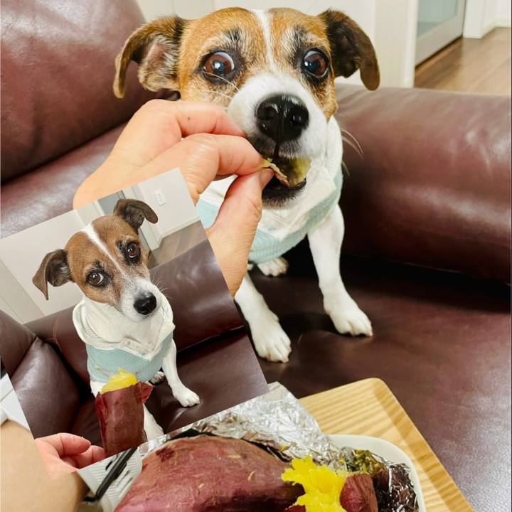 Fd558653 850b 4877 b4c0 35de71001cb8 1746844525396