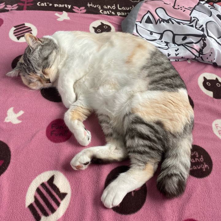 Fd56ae87 91e3 4630 9f58 0c73ed240521 1652419508253