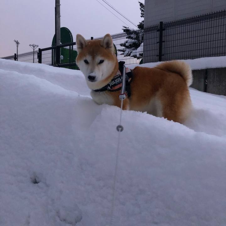 Fd570660 114a 48bf a949 4c96df2eff42 1579600562290