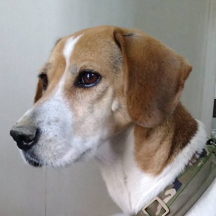 Fd5733e6 c3c9 4db5 a733 aeceaefe04e2 1671024418756