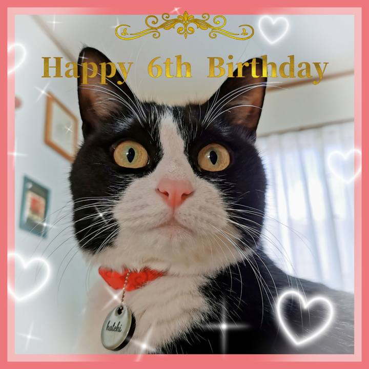 Fd573ad5 25c0 479a 9bdc 90ada3be12e5 1677338654934