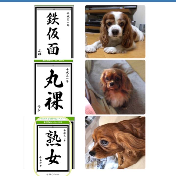 Fd576c8b cf78 47e6 be0c 3e9118fe5b03 1546436179013