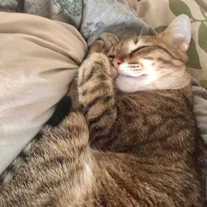 Fd57735f dcab 4595 b5f2 13ecd5614c91 1586657161583