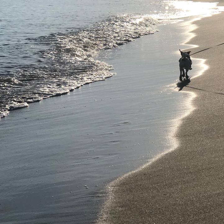 Fd579a77 5a63 49f5 913c e663d3fc2573 1721523957598