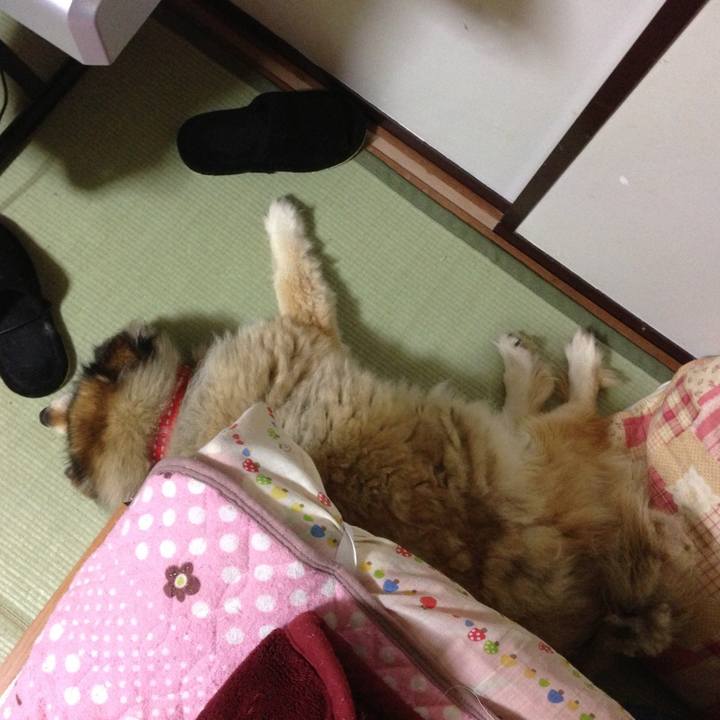 Fd57ad6d 6f7a 4032 93f0 2d4df290cd47 1609879286960