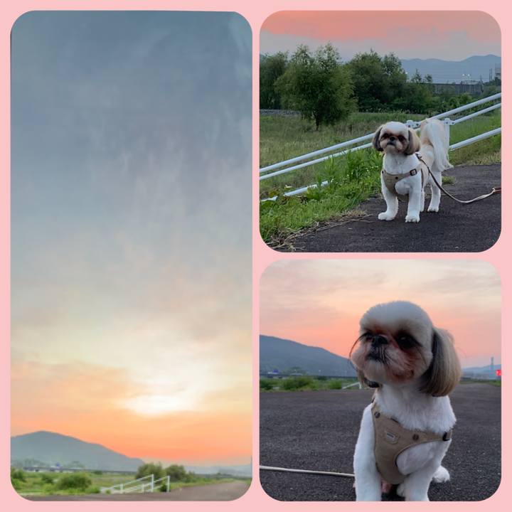 Fd57ba42 8d0b 4347 8e86 cbac116df4fa 1623067068922