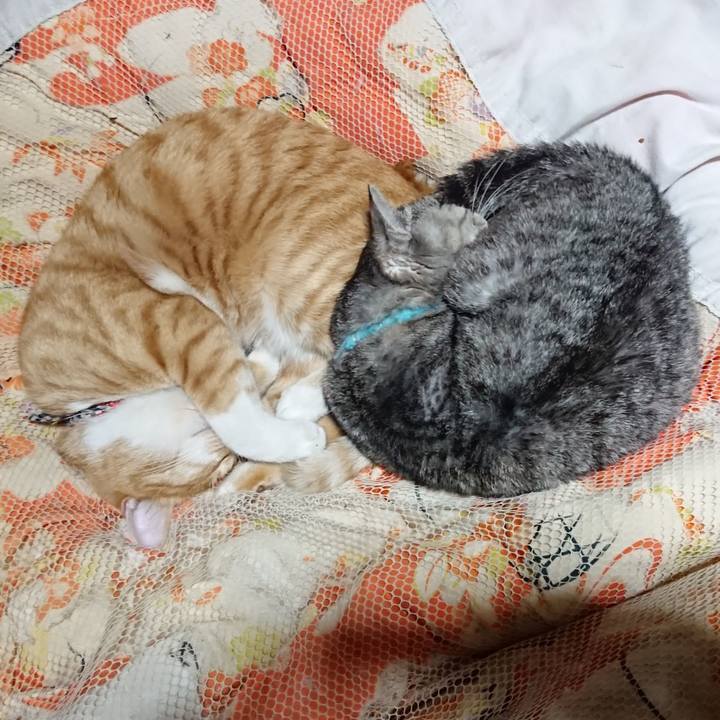 Fd57dce7 443b 419b aef5 d4389575292b 1573563559719