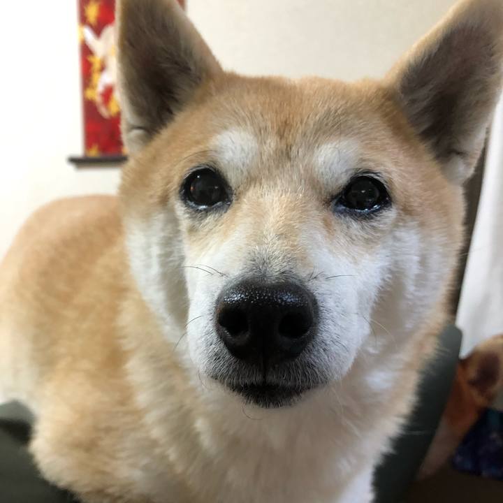 Fd57f951 79e6 4172 926b 94717f4963fa 1576300048028