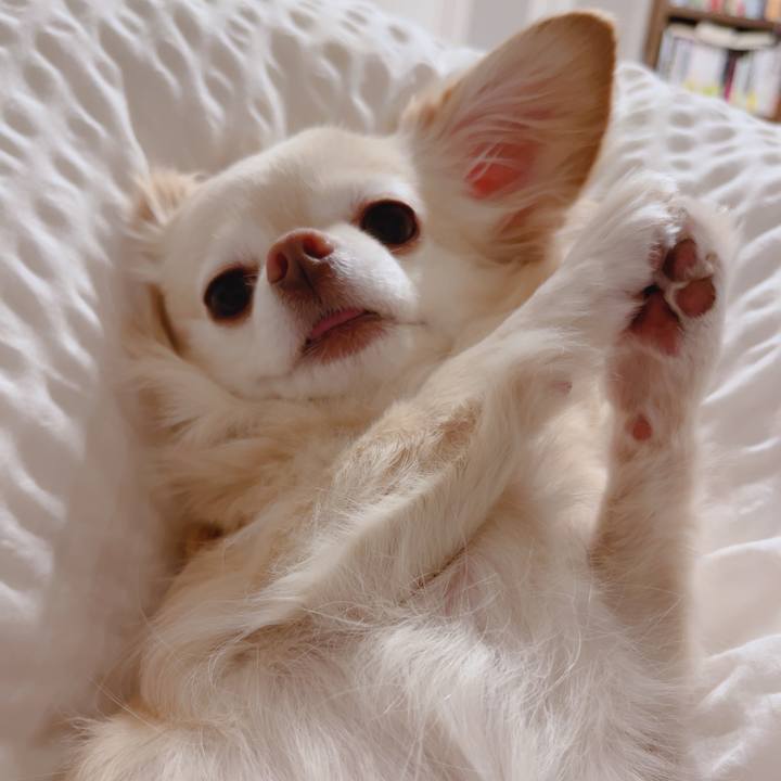 Fd581bf2 be11 4100 8445 6b3b8286143c 1769643199436