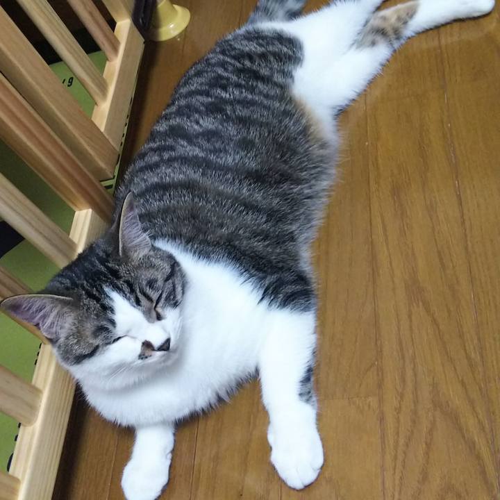 Fd584554 92d4 4b33 853b b99ddb0a2d9d 1618317231984