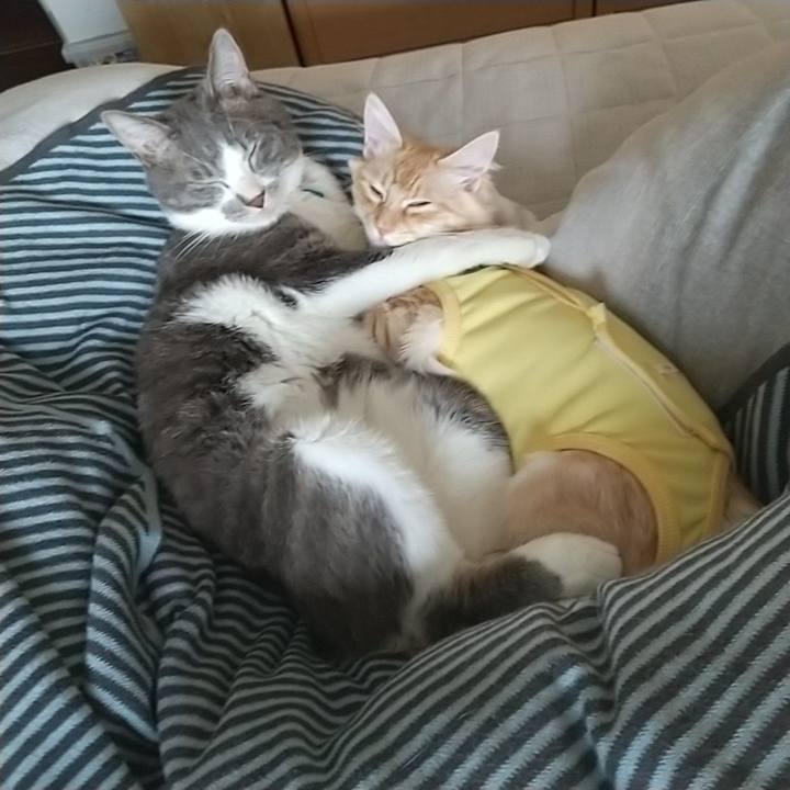 Fd5847fb 45c3 4e5e 8f7c f2fc9bb36179 1614987243769