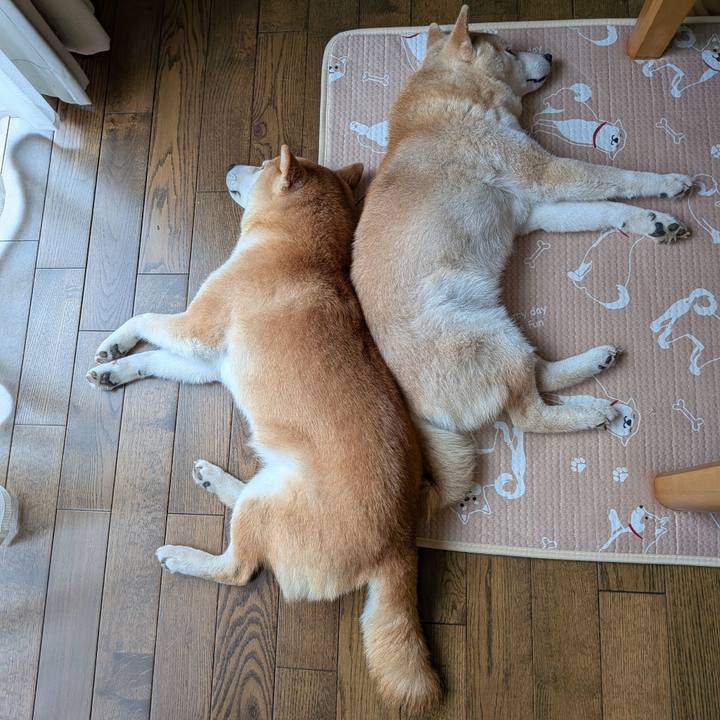 Fd5858a3 c443 4f19 b87f a4c2efea2c3f 1755669395772