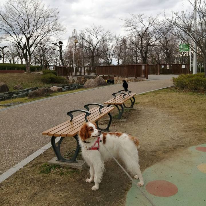 Fd5870fe d2ca 49b4 83ed 3d4d0e3deccc 1614847326303