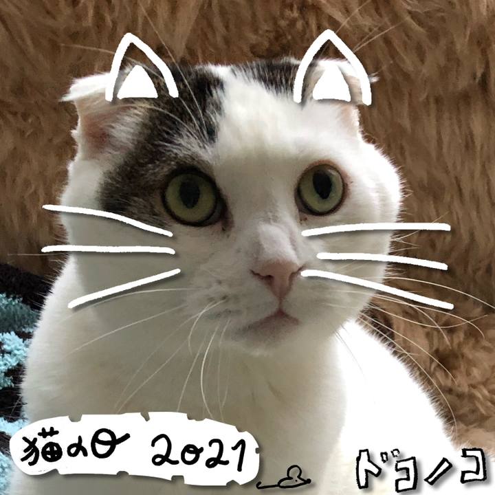 Fd589c3f 0c38 4e55 86b4 6fd1897b13d7 1613990081363