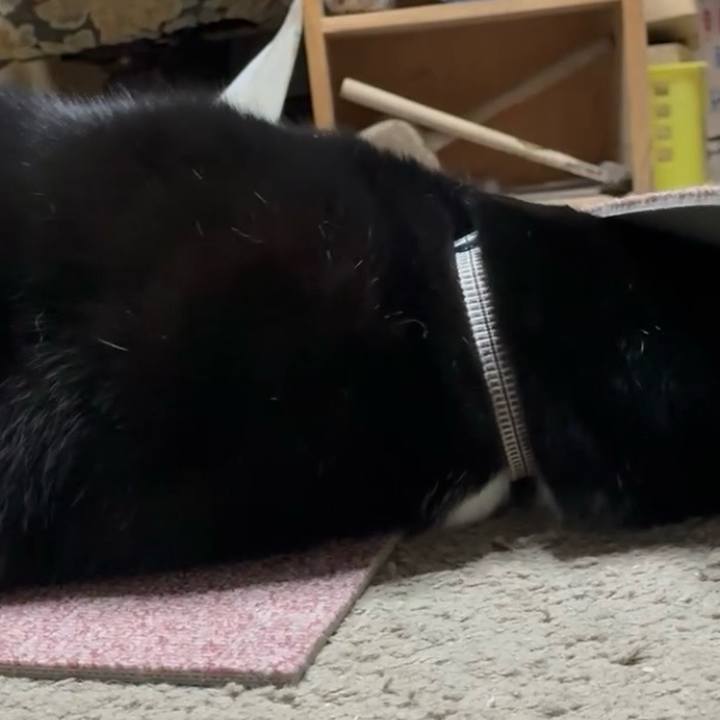 Fd58c271 3510 4899 b0fc 54b2e2de7202 1763460063507