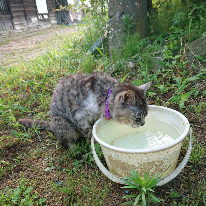 Fd58dc89 1bfd 49be b91f b05829181e19 1596576957728