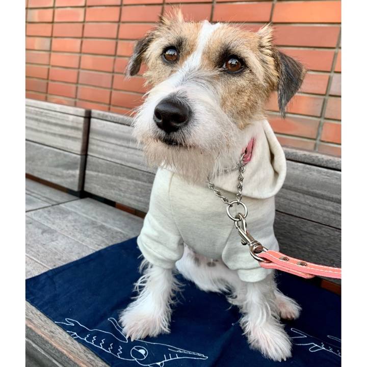 Fd58e4e2 5765 4cdf ab20 6be5f1ac5291 1607250620126