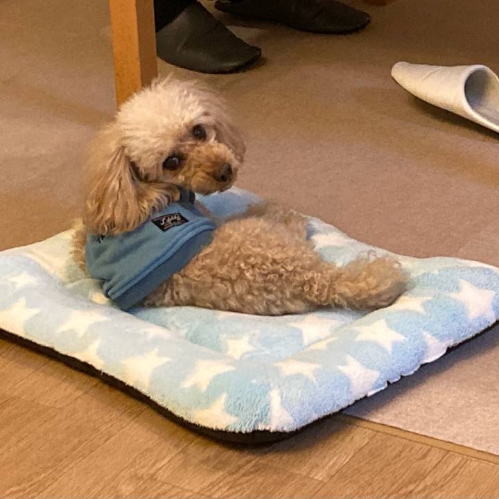 Fd58f66c 7724 4572 b1ec 95d45bca8905 1674557539976