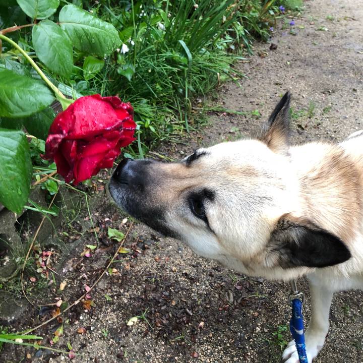 Fd59032c 666e 4c91 a6ee b06c2166955b 1525691378600