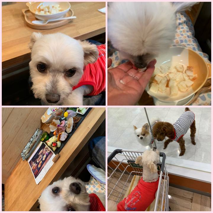 Fd590ad0 4dec 49b8 bd61 bb24e32b4042 1594807242504