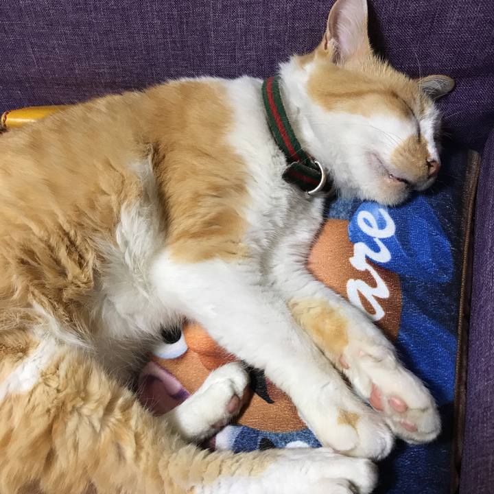 Fd5912a7 db09 41a1 8a5f c3181f8988b8 1537528945676