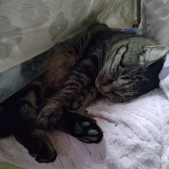 Fd596e75 bdab 4b64 803e 82fb3746493d 1668319819975