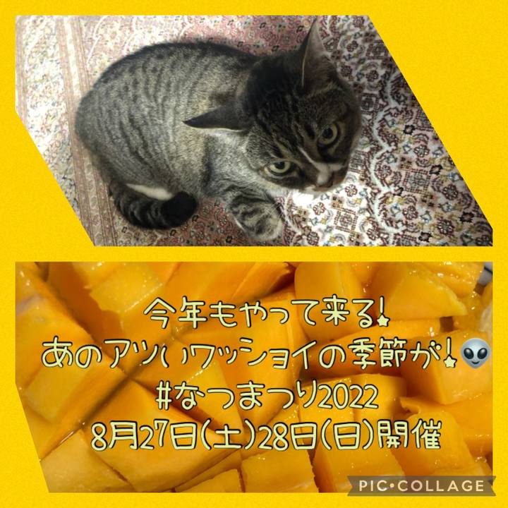 Fd596fcd 702d 4a57 8490 7be70e165432 1661426284393