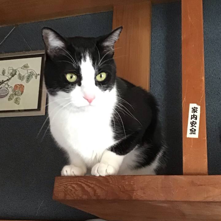 Fd599c10 e856 4c89 9b84 98339b3b70e4 1739344970297