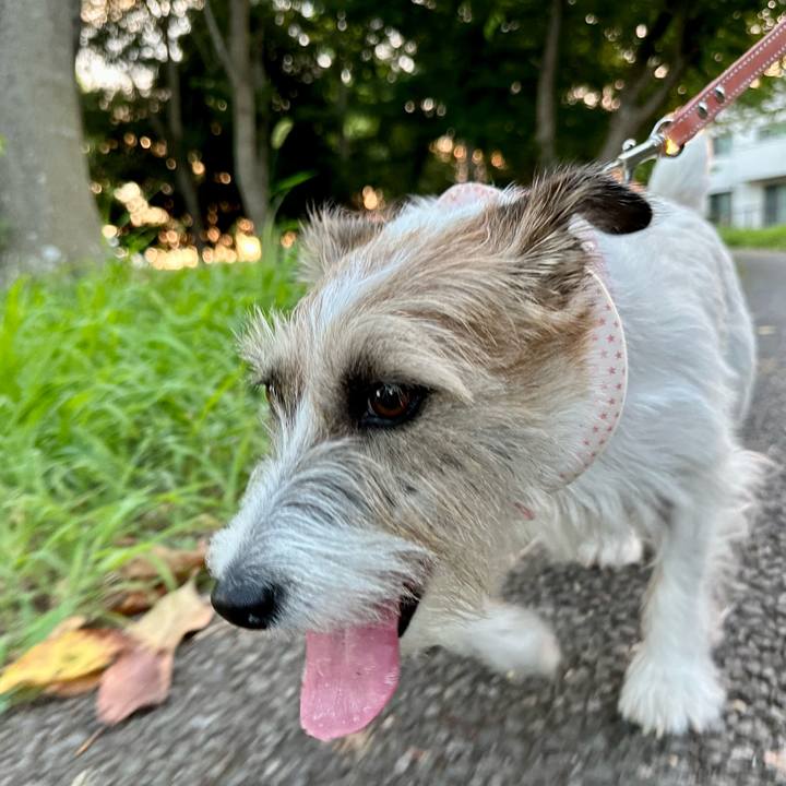 Fd59fbd4 8bd3 46df a67a 95e9fd9f478d 1690376560516