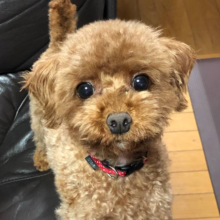 Fd5a2f78 cea1 4ea7 a638 b5cf4f328ccb 1562884390214