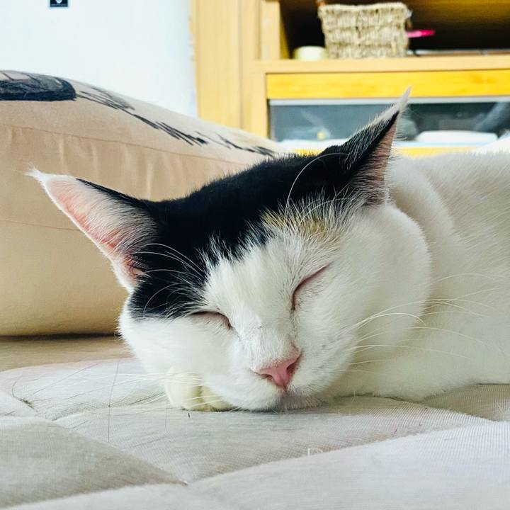 Fd5a6ac7 4f1b 4495 81df 91898e3a9bac 1760619162012