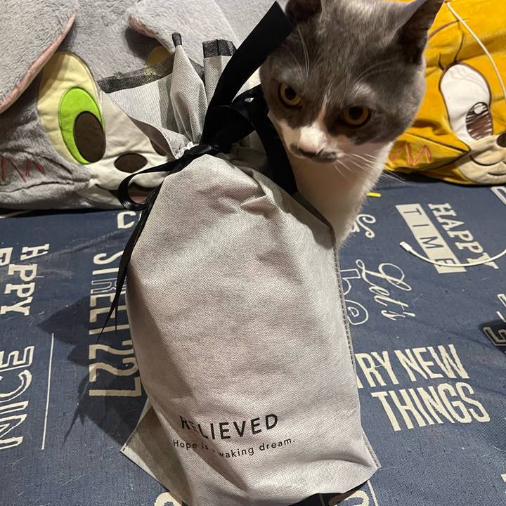 Fd5a7963 d23e 4984 94fa c1274d80c312 1747997972748