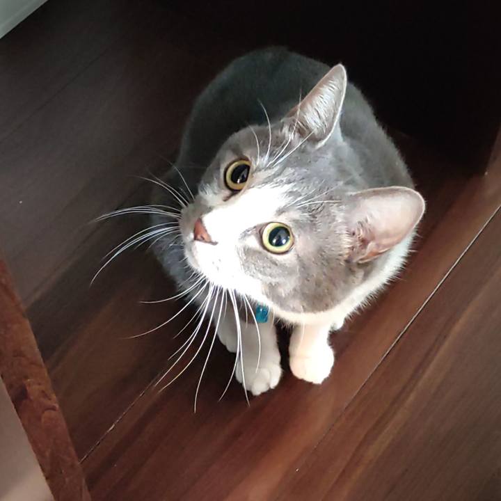 Fd5aaa77 e2f7 437b bf0e a2ae77b484e7 1658440389983