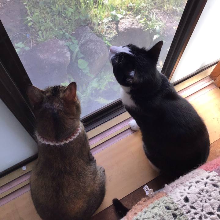 Fd5abdd3 5713 45d5 af48 b76f8c0b01c4 1651273051324