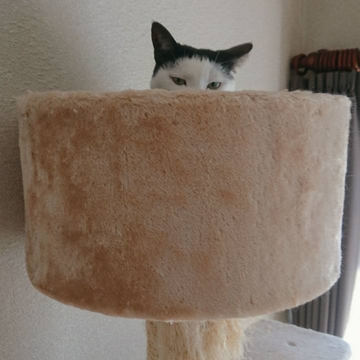 Fd5abecd 119b 4566 a46b 27178ec42ec3 1521265799883