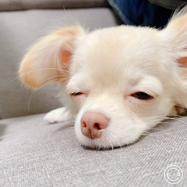 Fd5adc47 3a7f 4120 bb68 70a868de5e0d 1601627753206