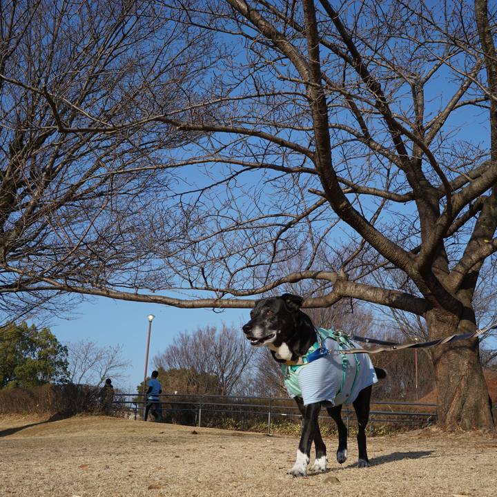 Fd5b01f6 9688 4a9f 87f9 2540b340f2c1 1771720100775