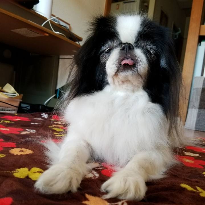 Fd5b1778 01bb 4134 a16d 5cc7862c61fa 1517042899328